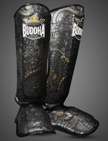 Buddha Shinguards Dragon